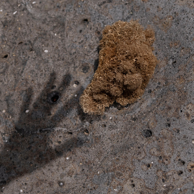 Only calmness: rituals that help reduce anxiety