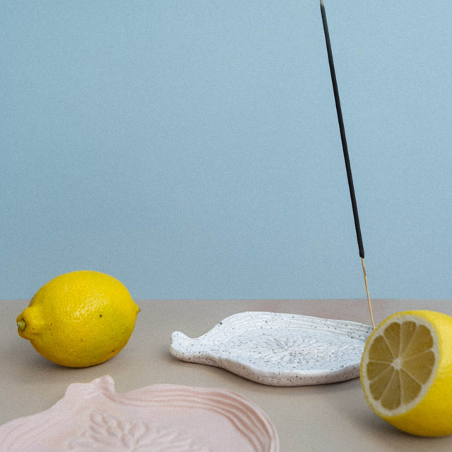 white dotted ceramic plate
